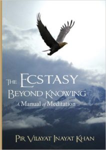 The Ecstasy Beyond Knowing: A Manual of Meditation 